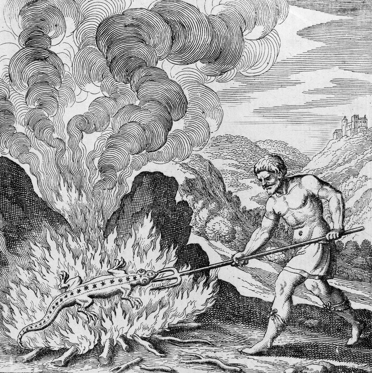 Afbrænding af en salamander fra Musaeum Hermeticum af German School