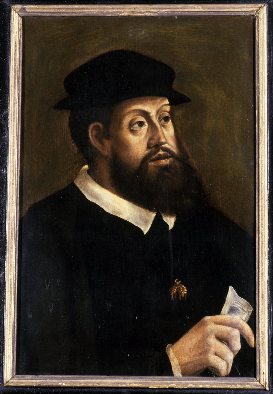 Kong Karl V, 1501-1600 af German School