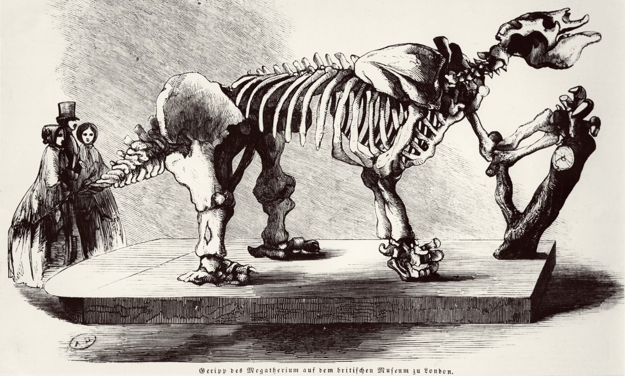 Megatherium skelet på British Museum af German School