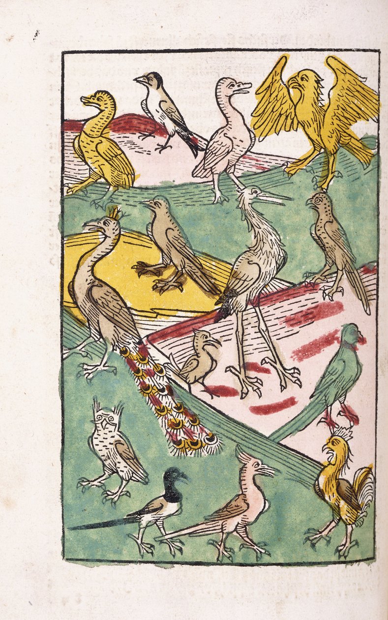 Various bird species in a landscape, 1499dani af German School