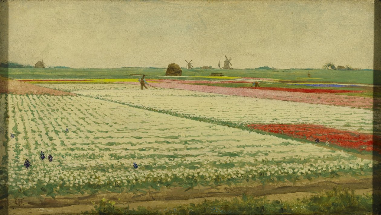 Tulipanmarker af Gerrit Willem Dijsselhof