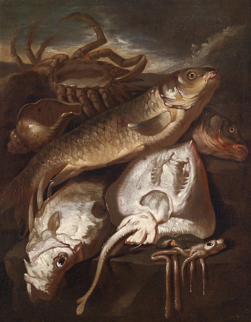 Fisk stilleben af Giacomo Francesco Cipper