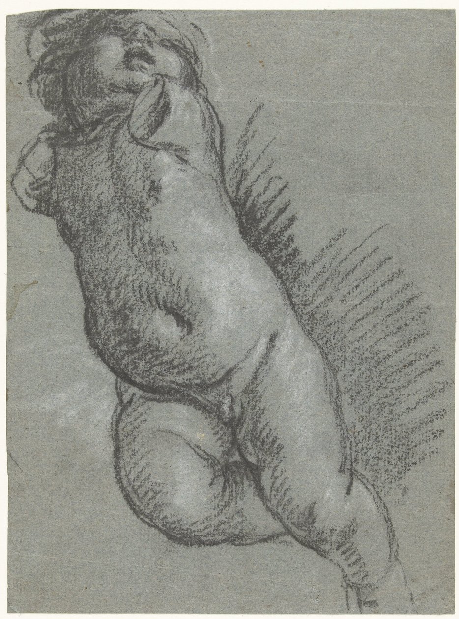 Undersøgelse af en flydende putto af Giacomo Cavedone