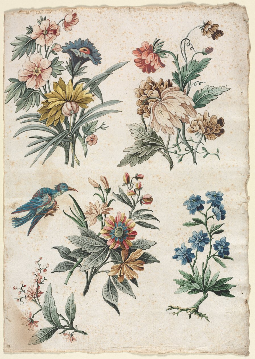 Blomsterdesign med en blå fugl af Giacomo Cavenezia