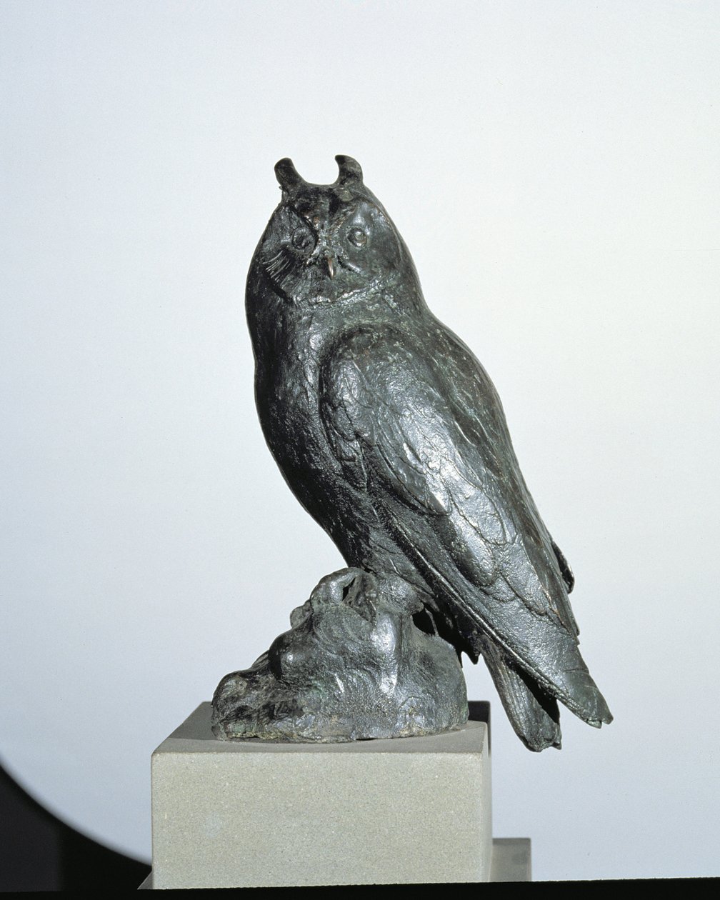 Ugle (bronze) af Giambologna
