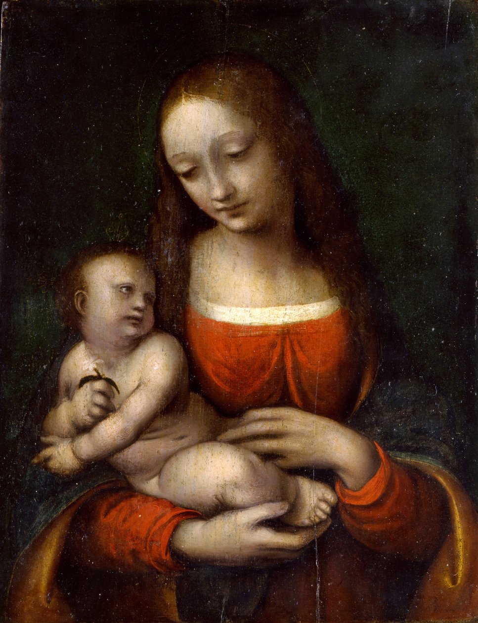 Jomfruen og barnet Icosidodecahedron af Gian Pietro Rizzi