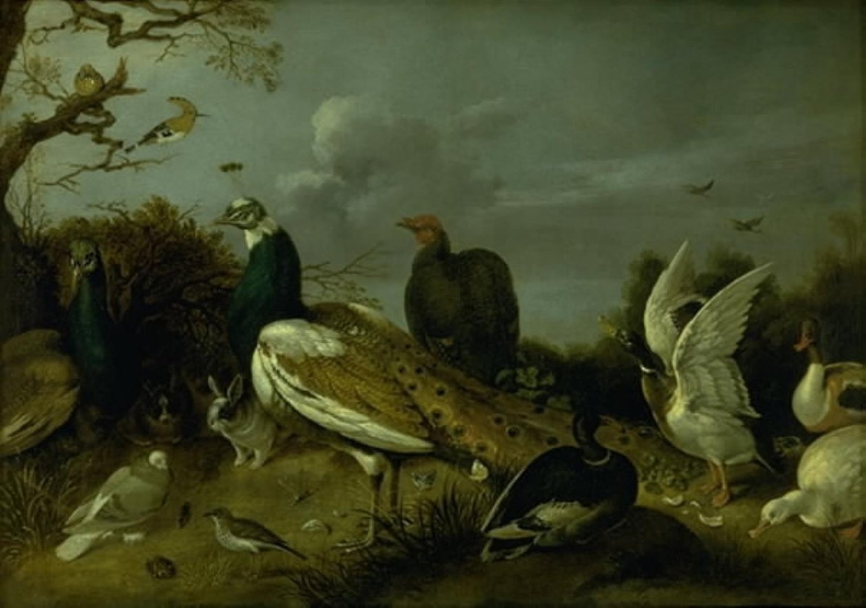Påfugle, ænder og andre dyr af Gijsbert Gillisz. de Hondecoeter