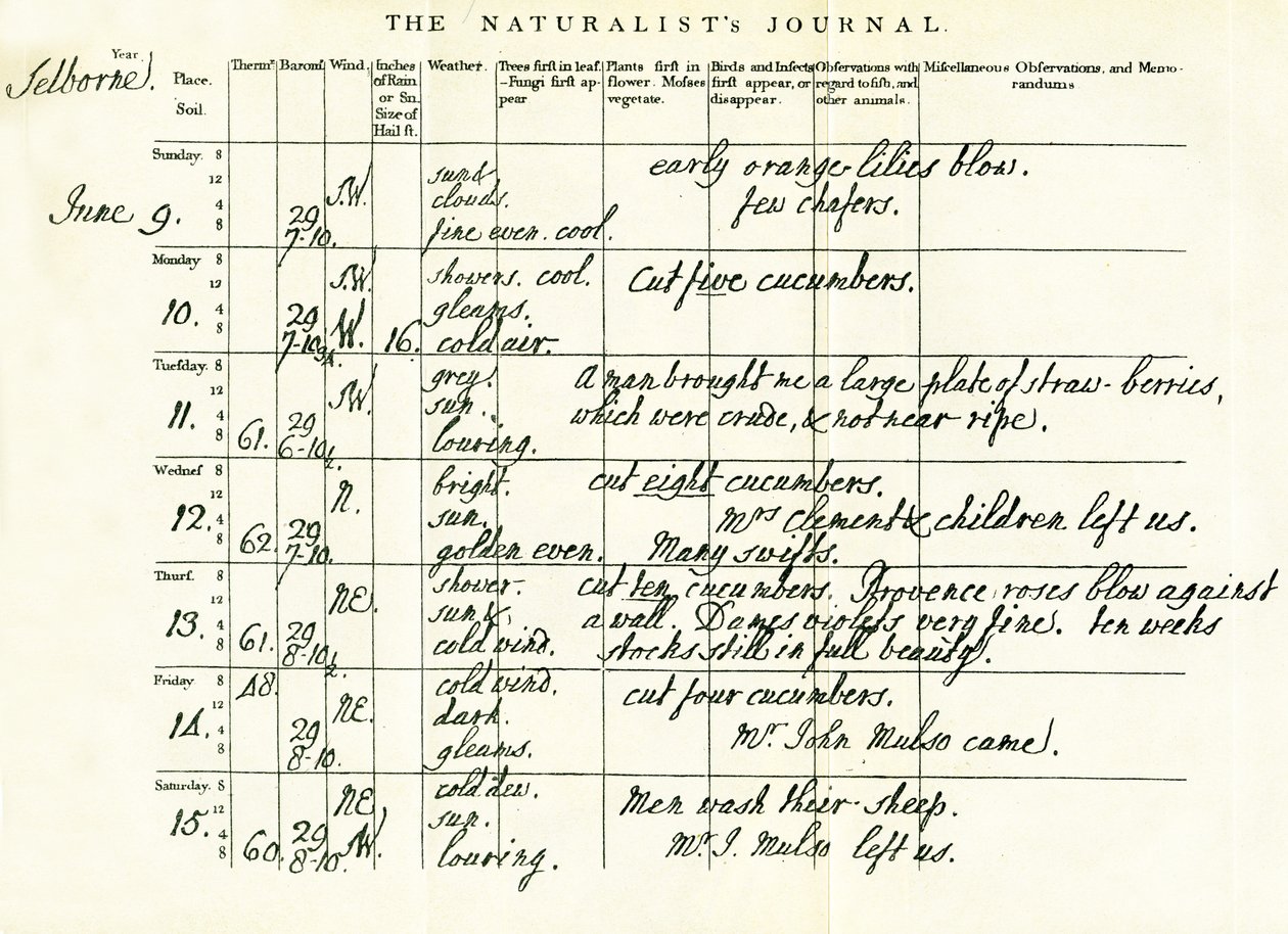 Sidste udfyldte side af Gilbert Whites Naturalists Journal, 9.-15. juni 1793 af Gilbert White