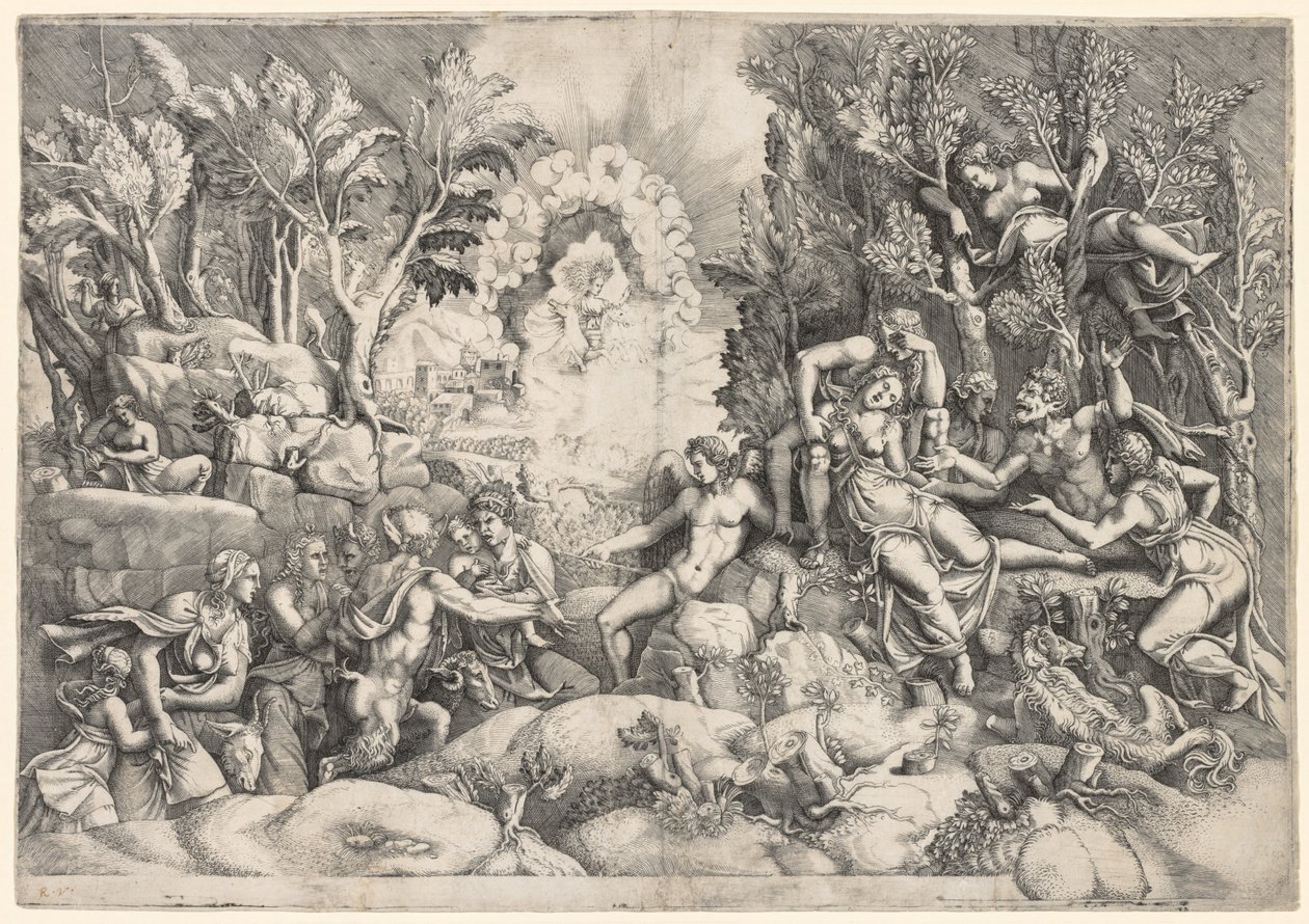 Procris