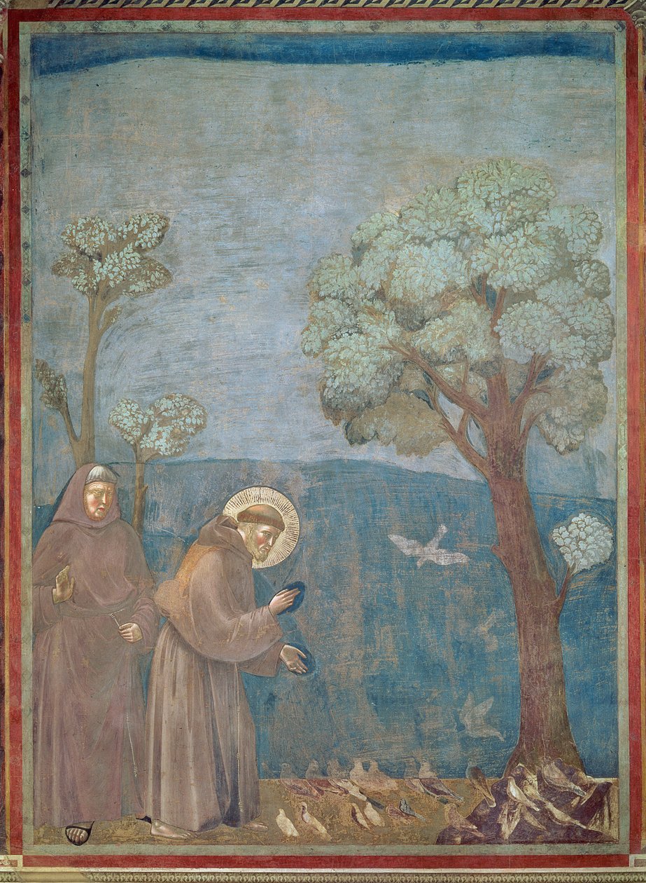 Den hellige Frans prædiker for fuglene, 1297-99 af Giotto di Bondone