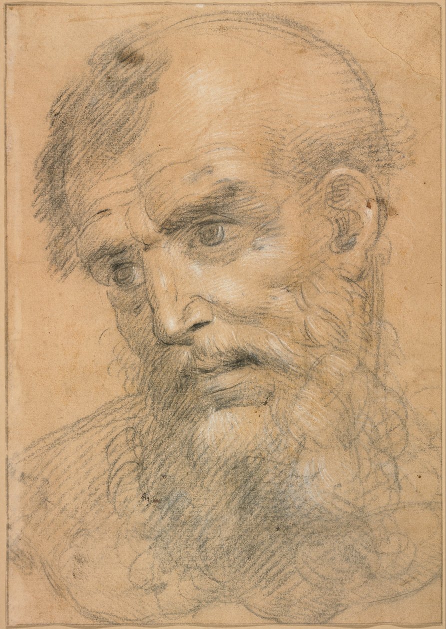 Hoved af en skægget mand (recto); Studér til en hellig samtale (vers) af Giovanni Antonio Sogliani