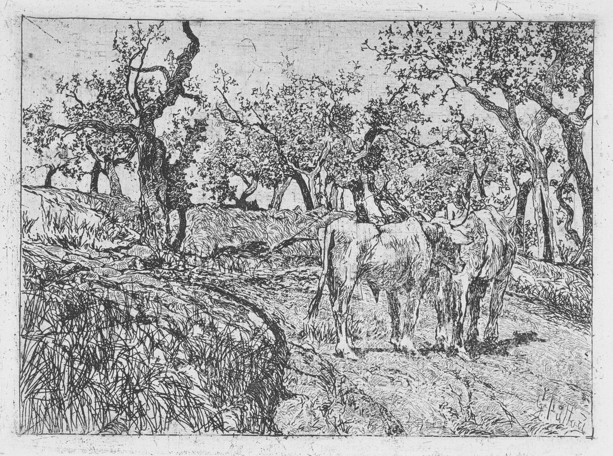 Kvæg blandt oliventræer af Giovanni Fattori