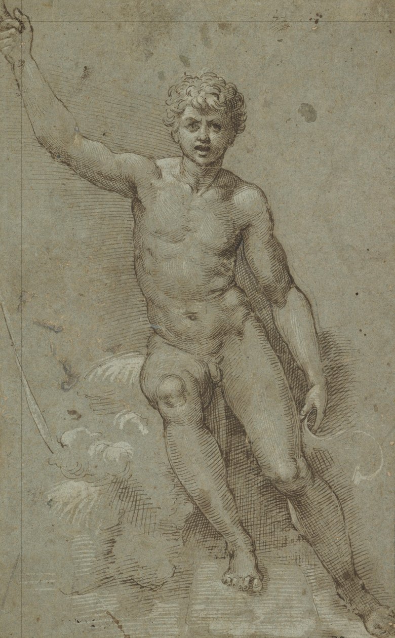 Sankt Johannes i ødemarken af Giovanni Francesco Penni