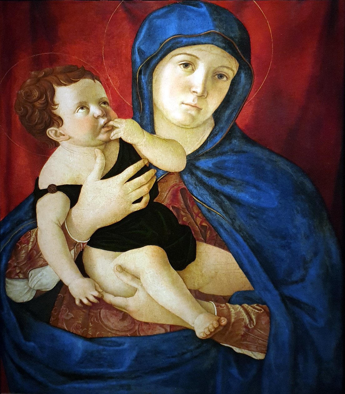 Jomfruen og barnet af Giovanni Bellini