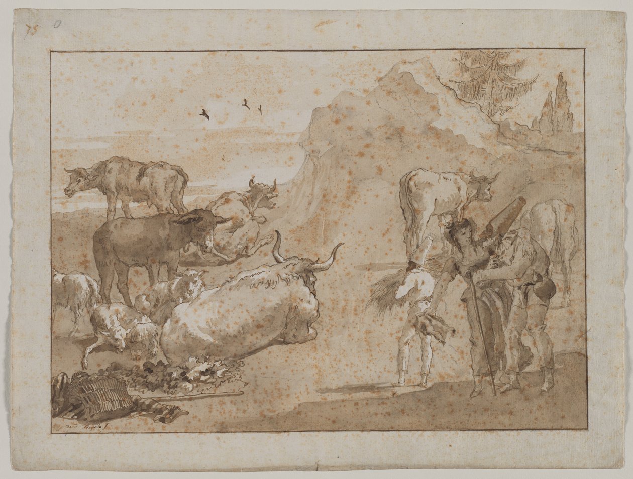 Får og køer, 1790
