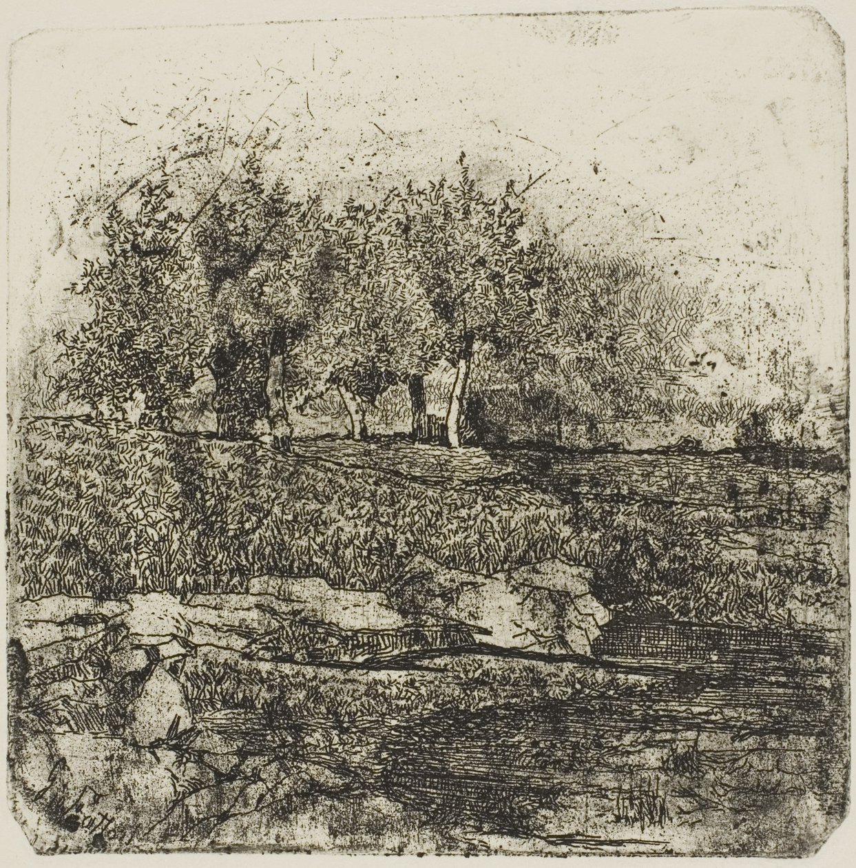 Træer på en eng af Giovanni Fattori