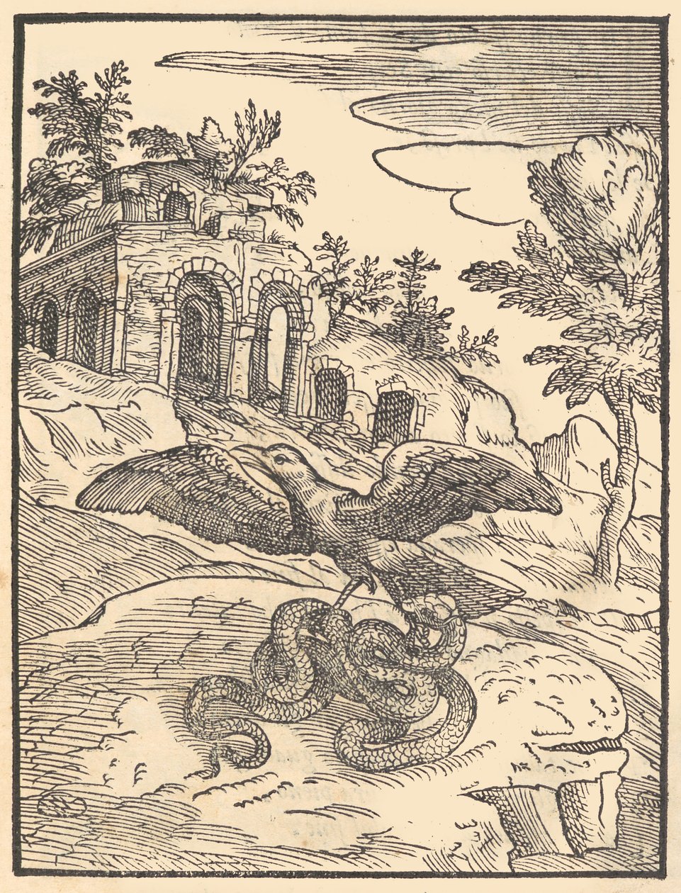 Fugl og slange, 1570. af Giovanni Maria Verdizotti