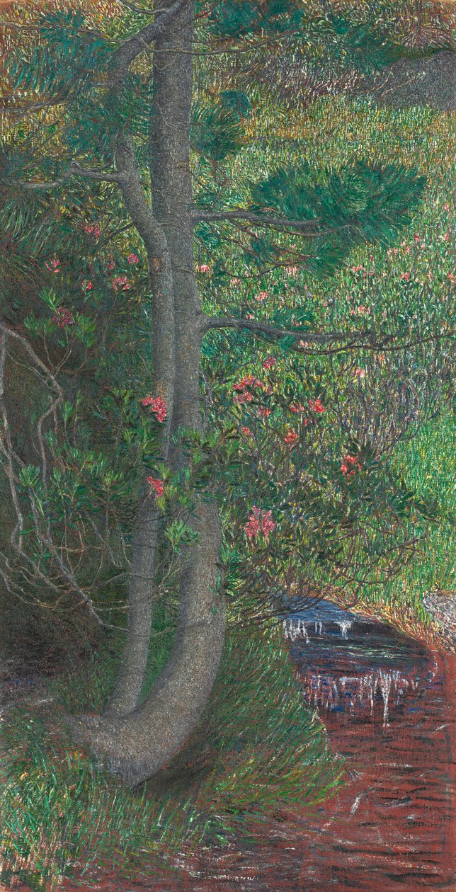 Fyrretræ, ca. 1897. af Giovanni Segantini