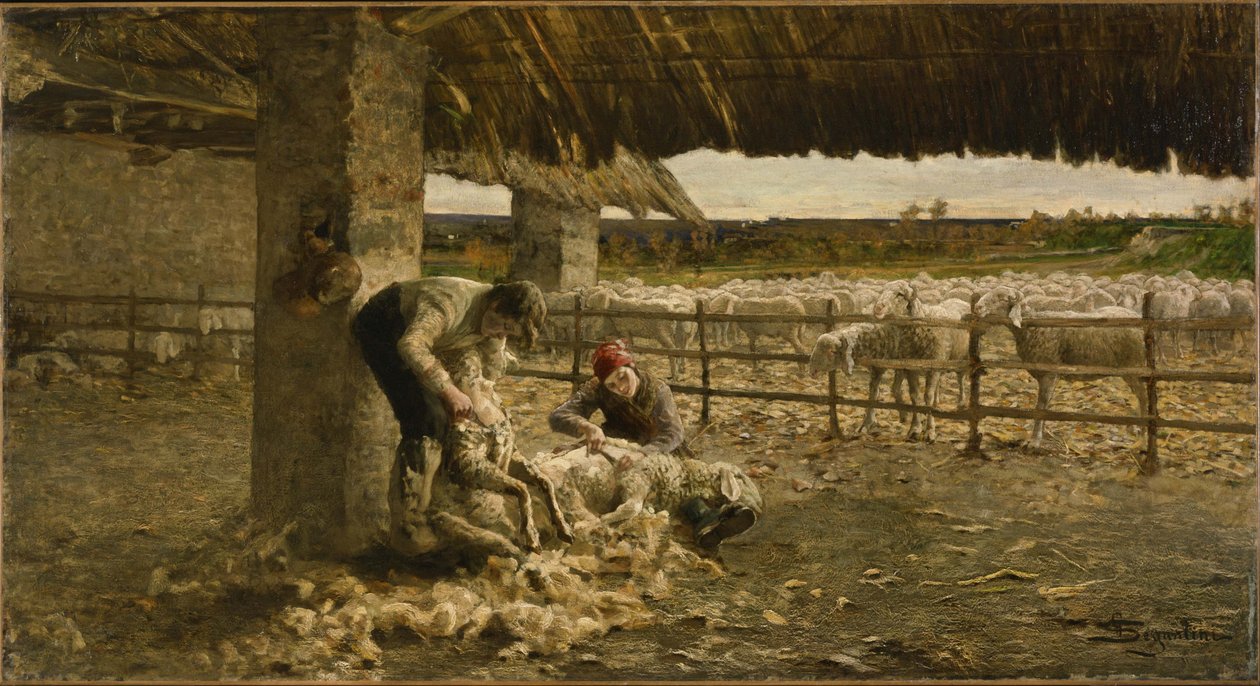 Fåreklippet, 1883-1884 af Giovanni Segantini