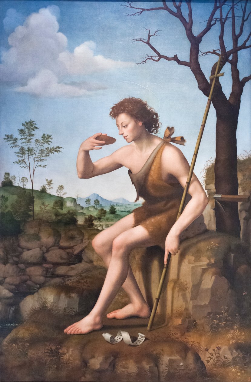 Sankt Johannes Døberen af Giuliano Bugiardini