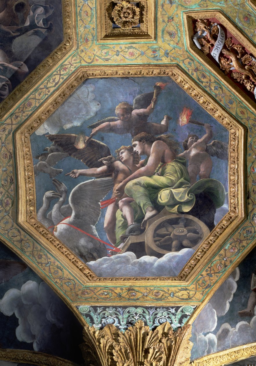 Venus og Amor i en vogn trukket af svaner, loftskasse fra Sala di Amore e Psiche, 1528 (olie på stuk) af Giulio Romano