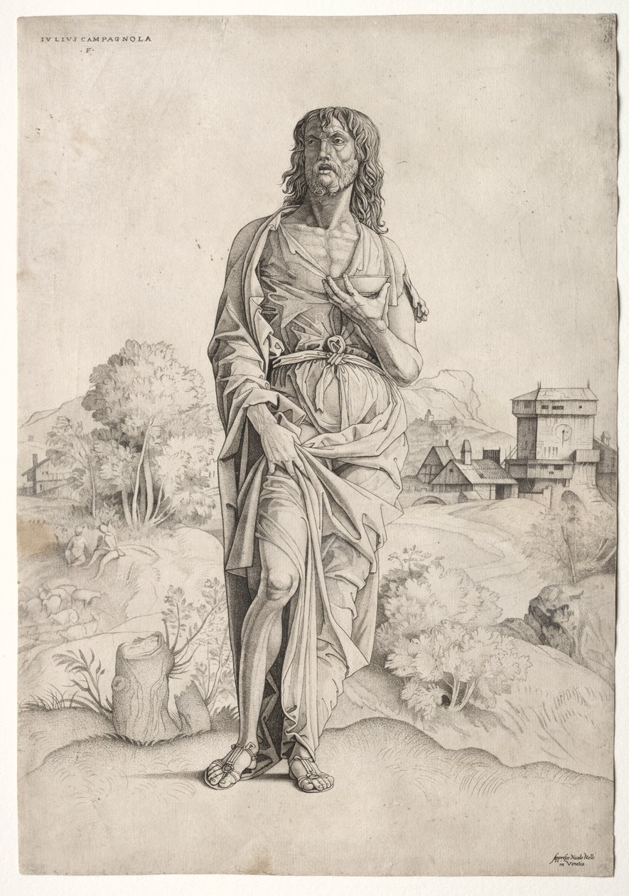 Johannes Døberen af Giulio Campagnola