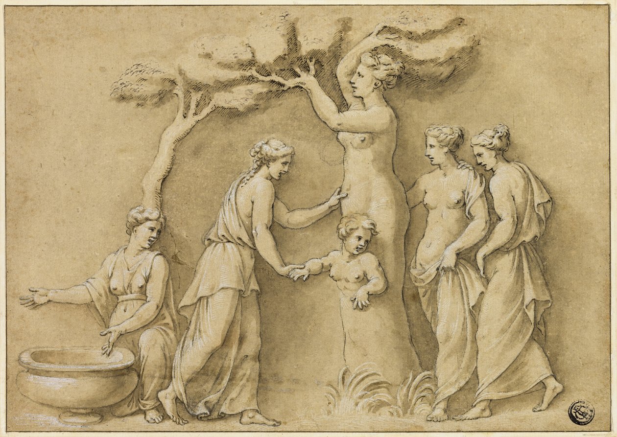 Adonis fødsel af Giulio Romano