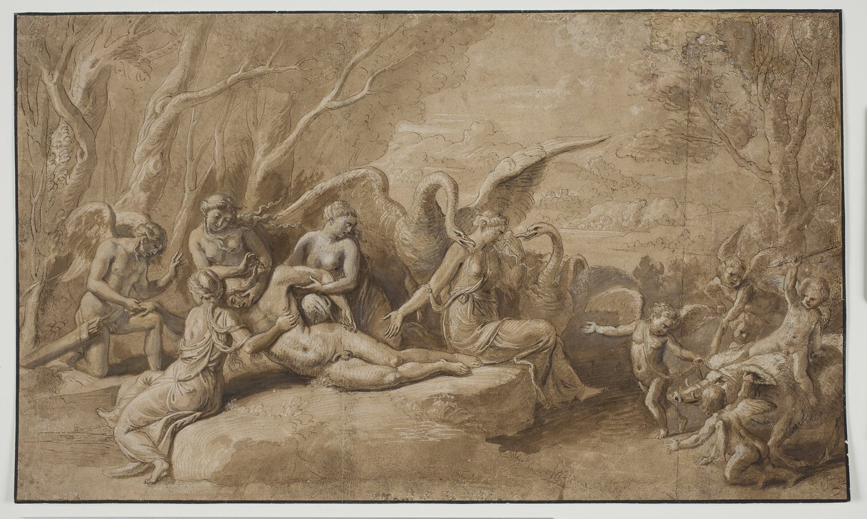 Venus sørger over Adonis