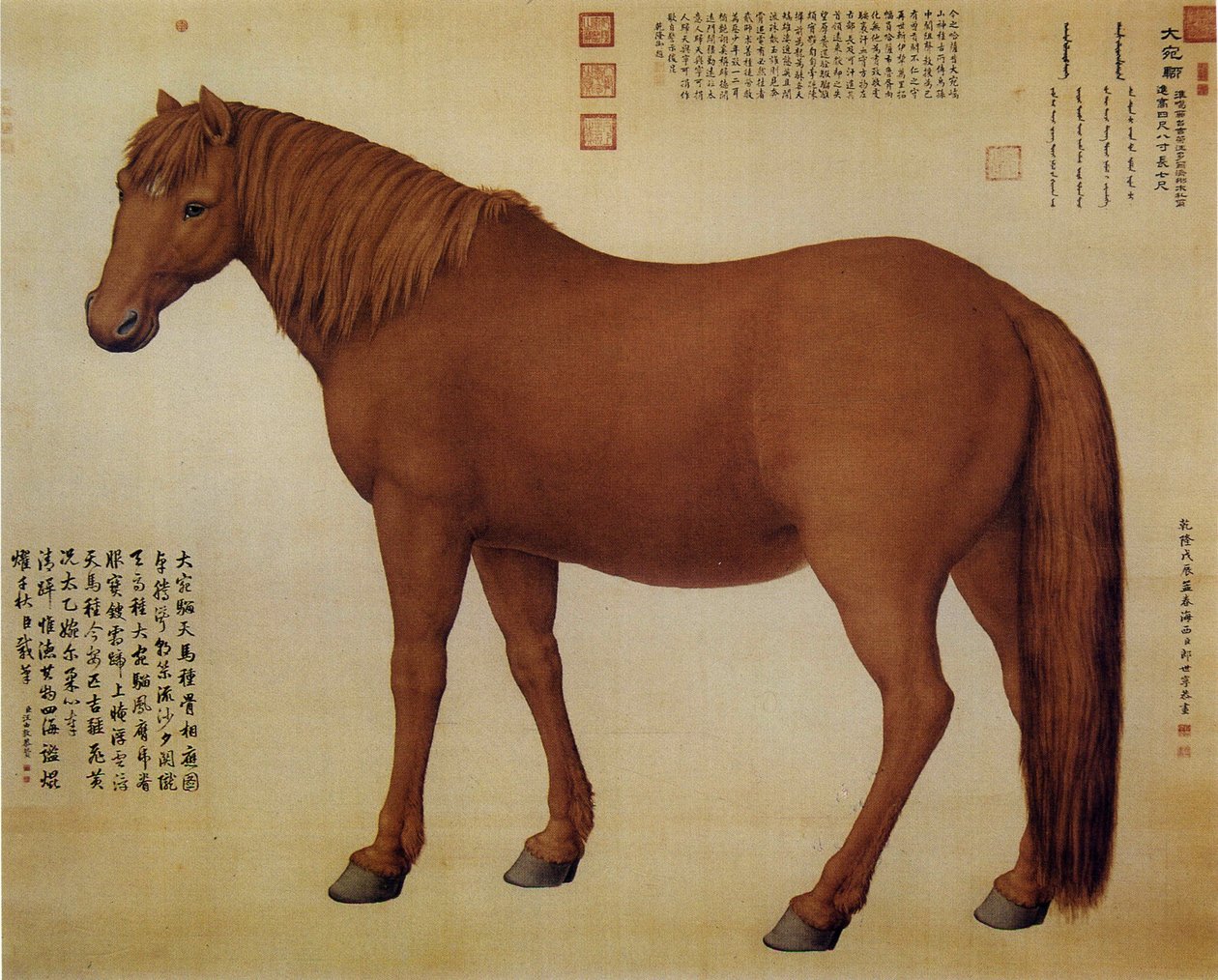en hest ved navn Dawanliu af Giuseppe Castiglione