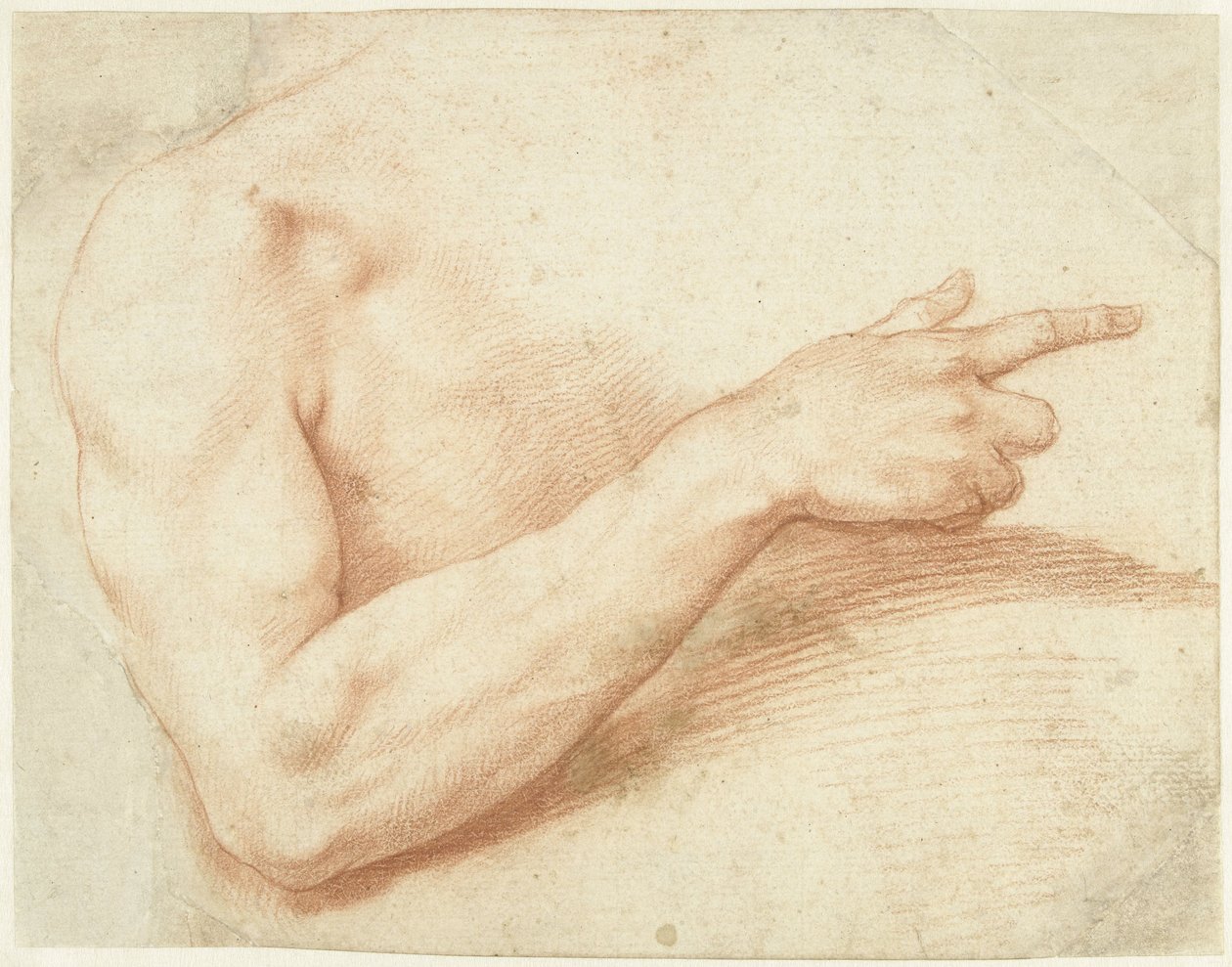 Studie af en arm af Giuseppe Cesari
