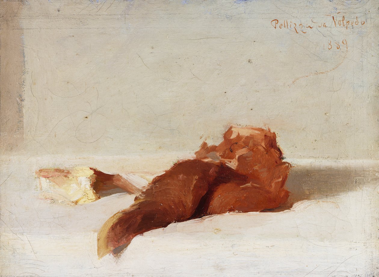 Kød af Giuseppe Pellizza da Volpedo