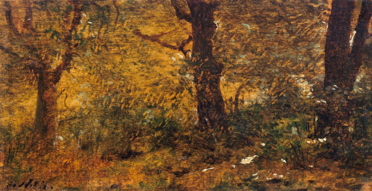 Undersøgelse af træ af Giuseppe or Joseph de Nittis