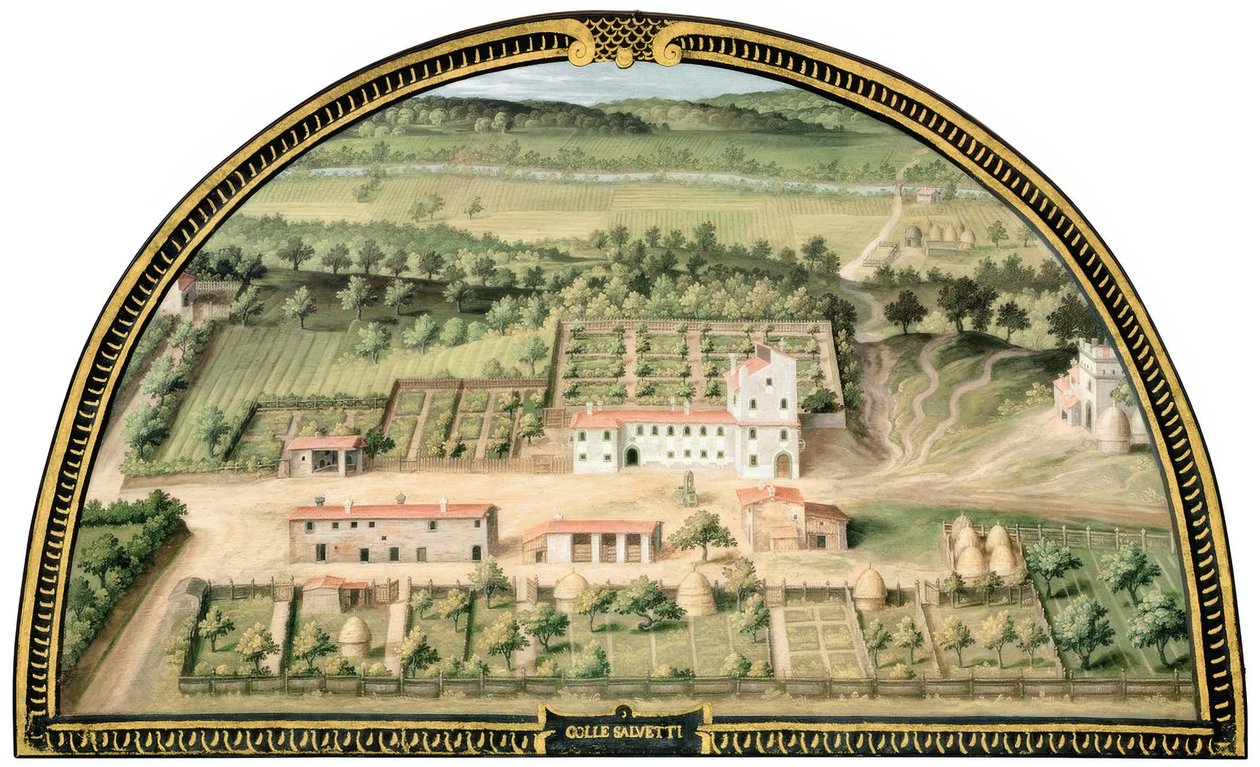 Medici Villa af Collesalvetti af Giusto Utens