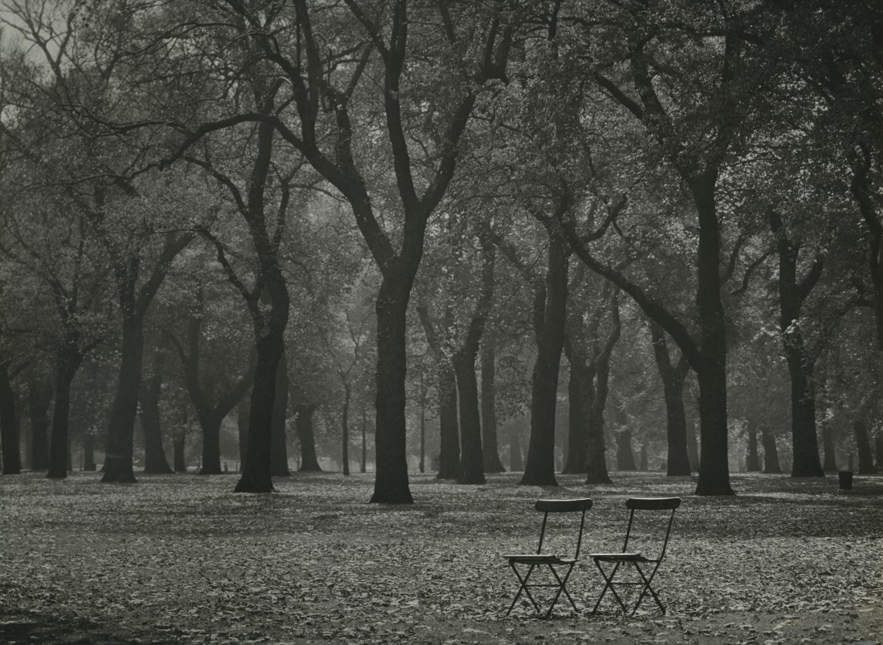 Efterårstræer i Hyde Park, London af Godfrey Macdominic