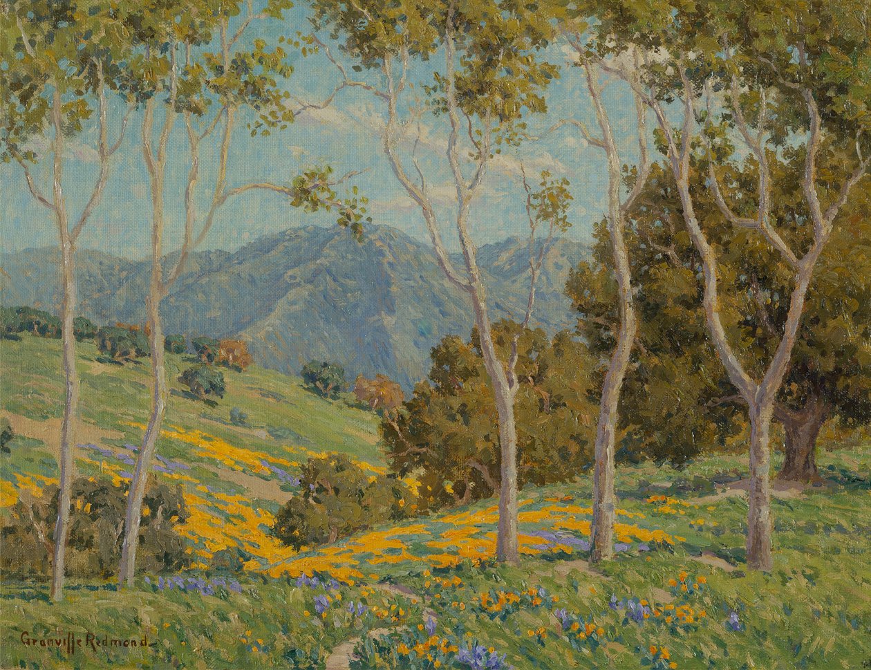 Valmuer og eukalyptus (olie på lærred) af Granville Redmond