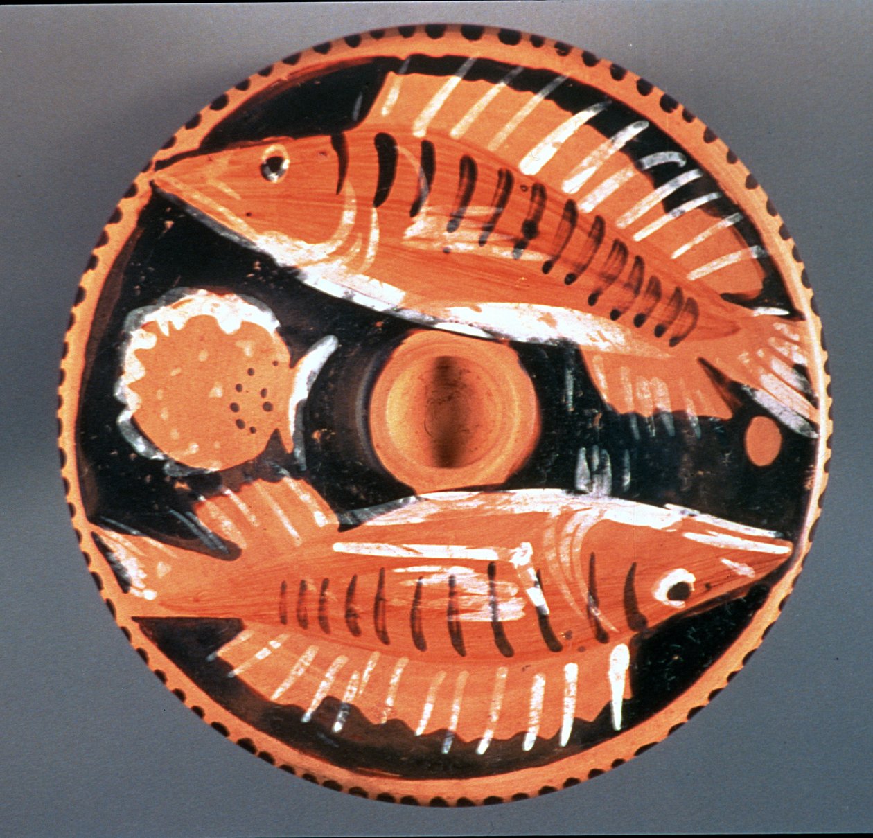 Plade med to fisk, 350 f.Kr. (keramik) af Greek