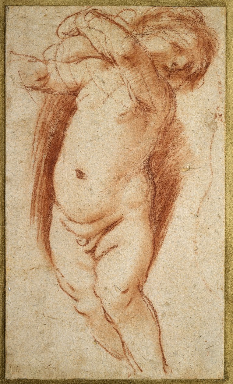 A Putto, 1620 - 1624 (Rødkridt på gråligt papir) af Giovanni Francesco Barbieri