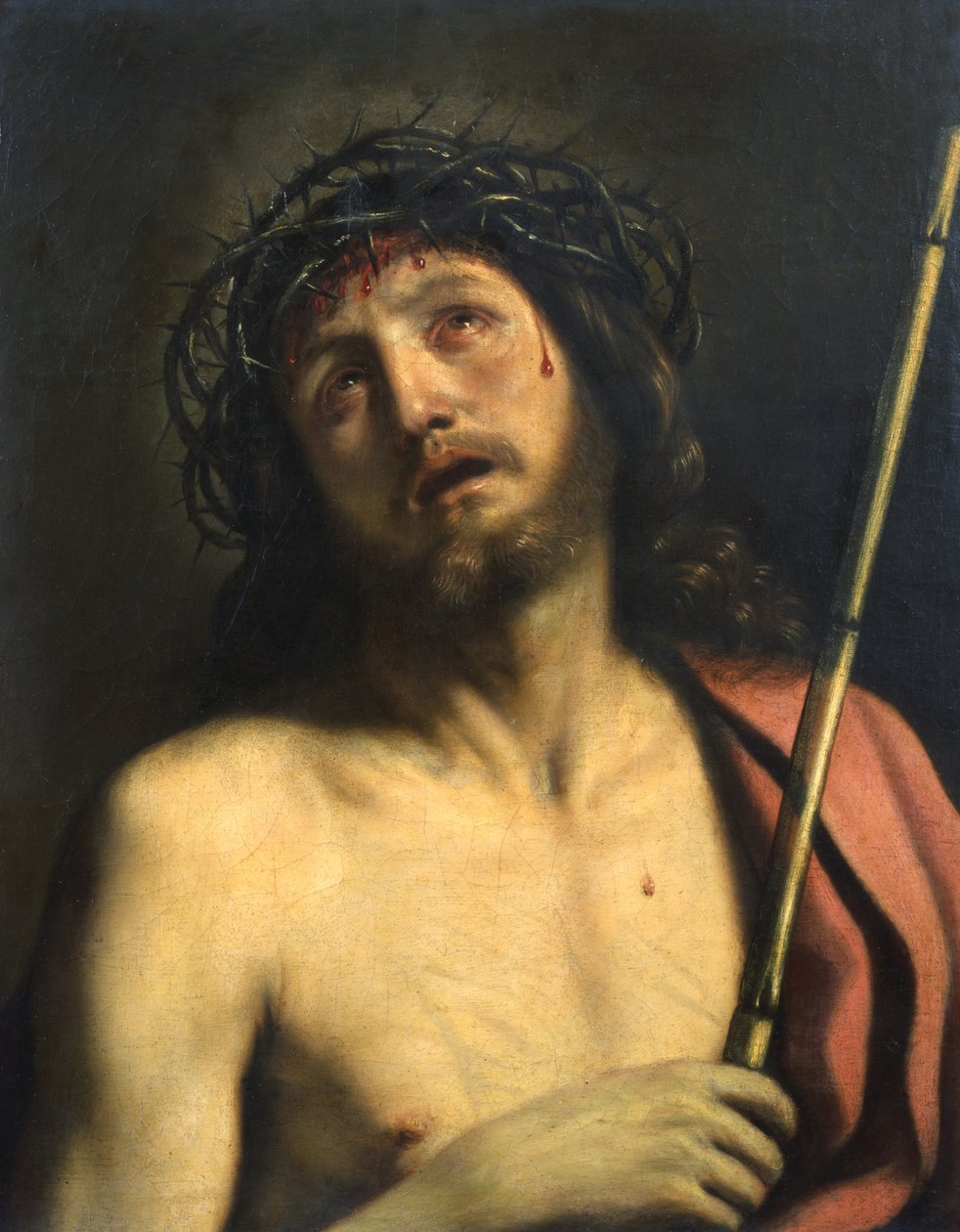 Se manden af Guercino