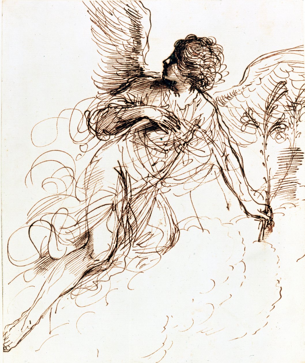Studie af en engel, c1611-1666 af Guercino