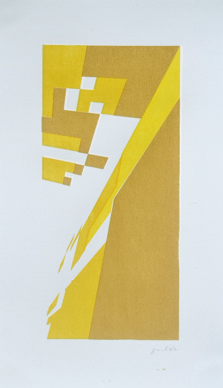 Deconstruction N°8, 2014 (blæk på papir) af Guilherme Pontes