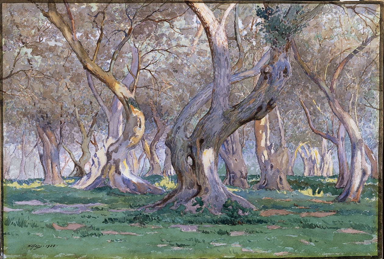 Oak Grove af Gunnar Widforss