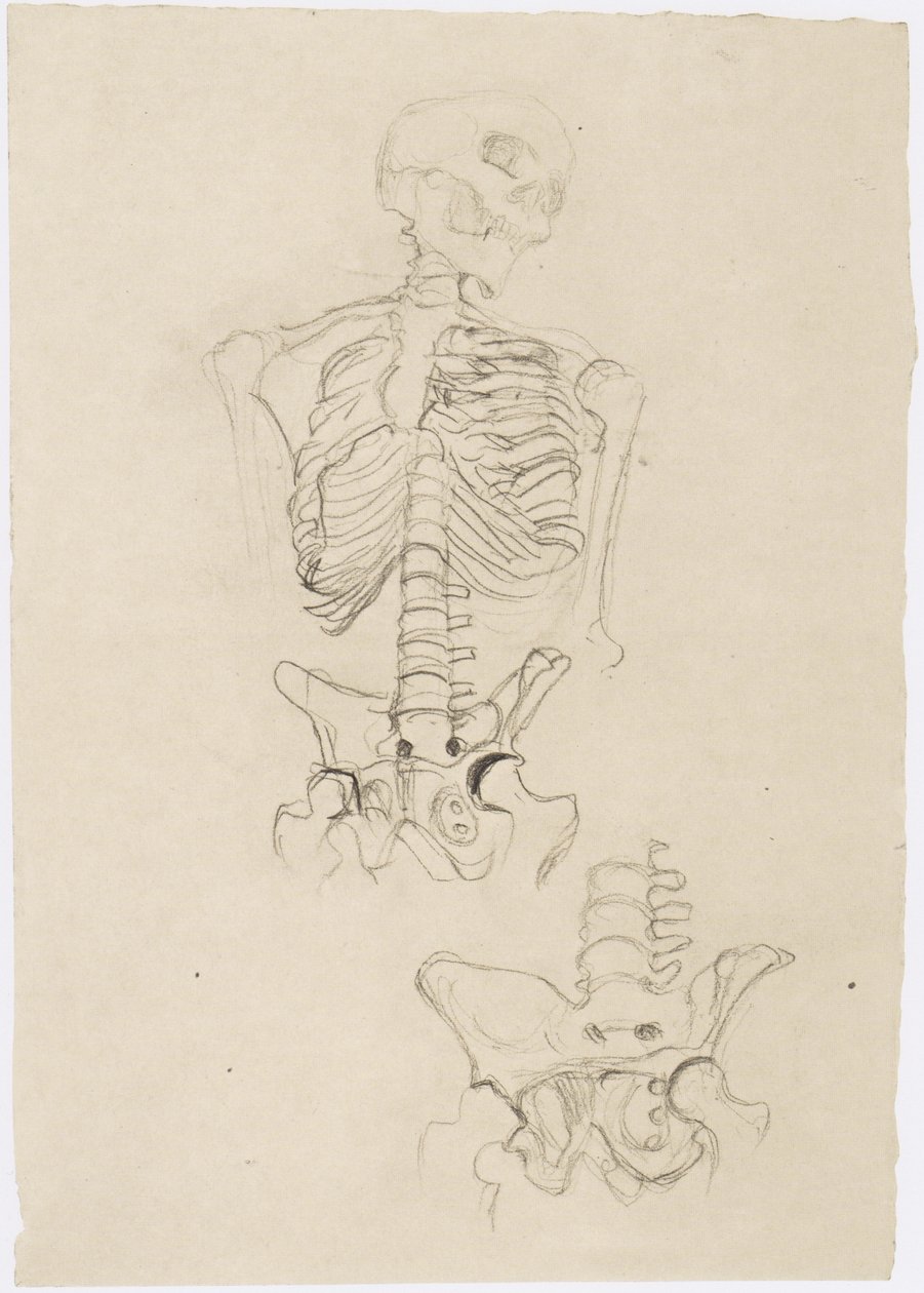 To skeletstudier, den øverste med hovedet til højre af Gustav Klimt