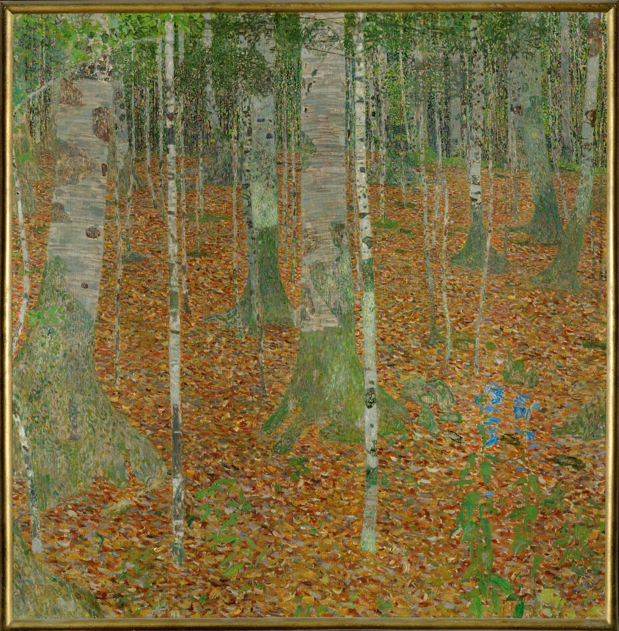 Bøgeskoven (Birch Woods) af Gustav Klimt