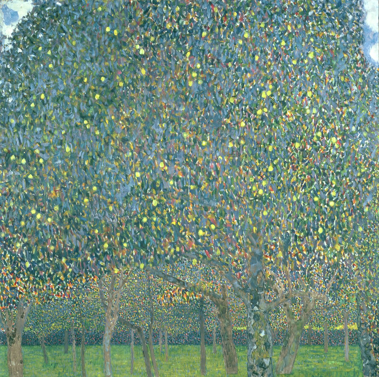 Pæretræ, 1903 (olie og kasein på lærred) af Gustav Klimt