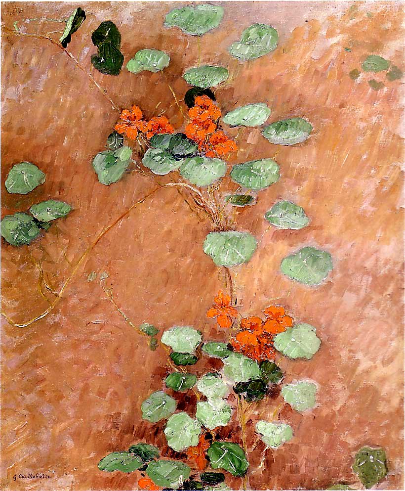 Nasturts af Gustave Caillebotte