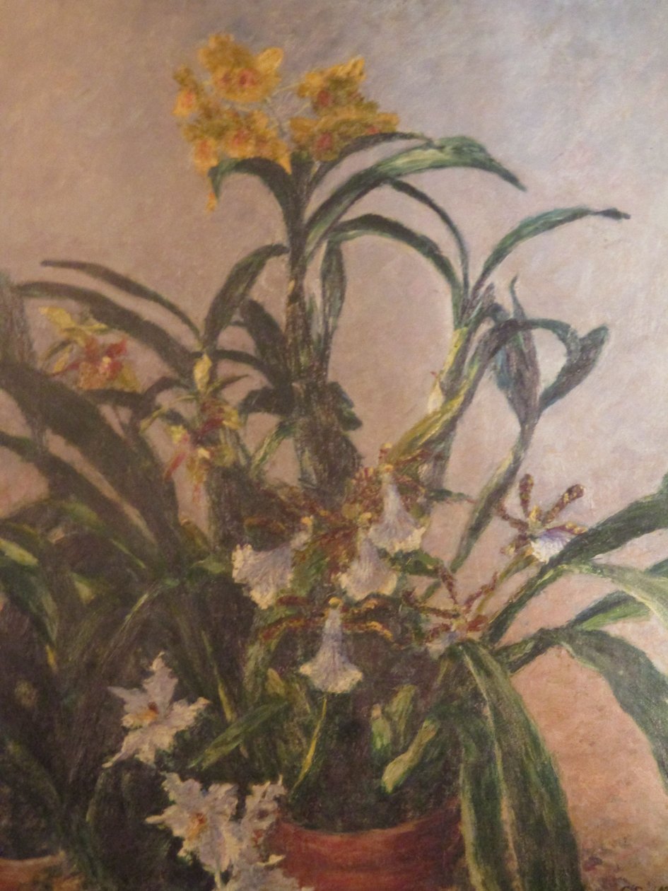 Gule orkideer af Gustave Caillebotte