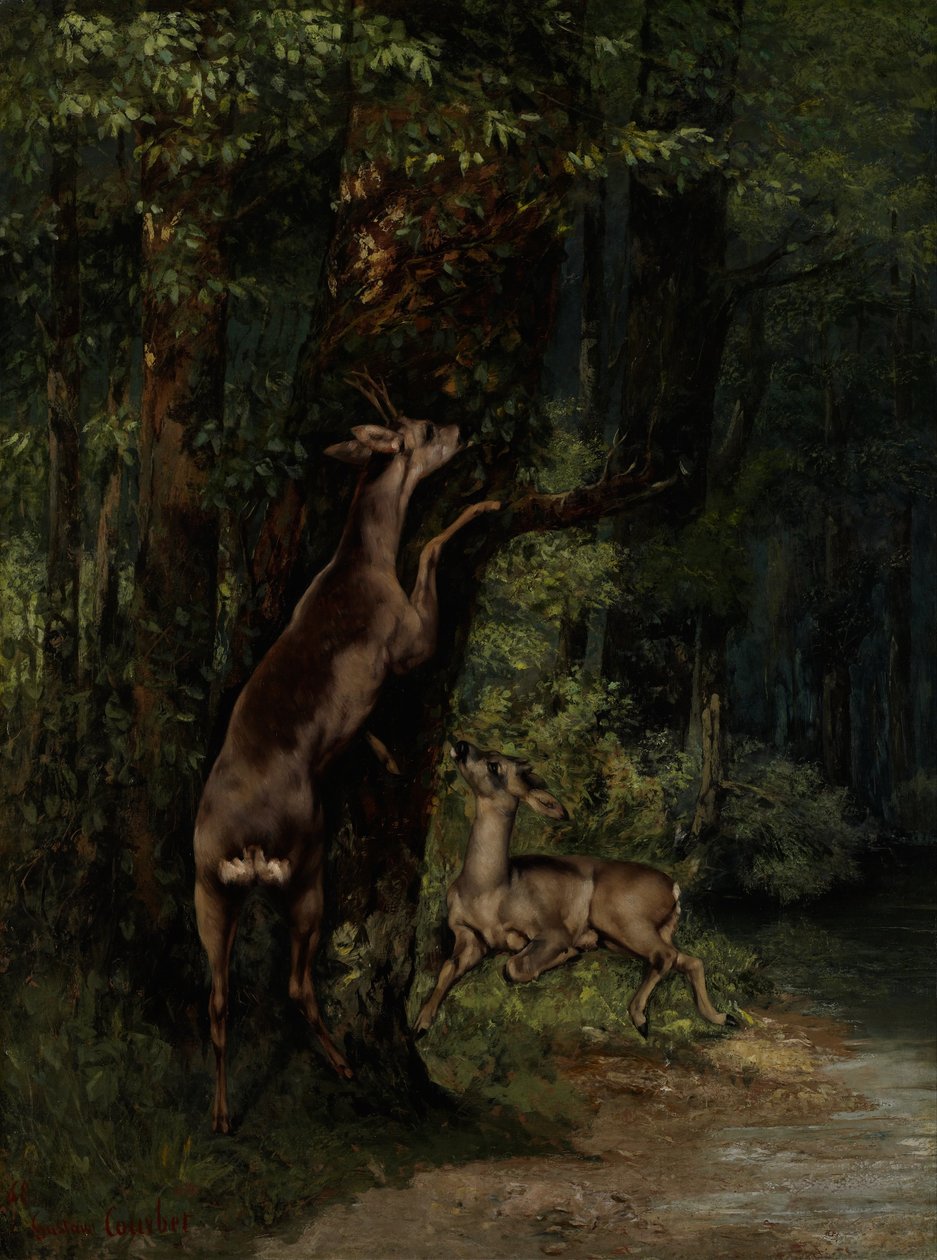 Rådyr i skoven af Gustave Courbet