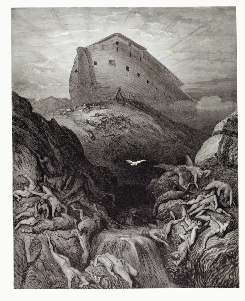 Duen sendt ud fra arken, indgraveret af Stephane Pannemaker (1847-1930) c.1868 af Gustave Dore