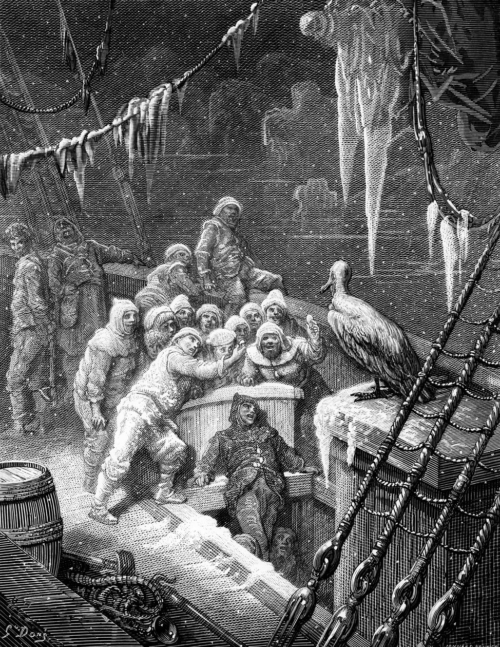 Albatrossen bliver fodret af sømændene på skibet havnet i det frosne hav i Antarktis, scene fra 