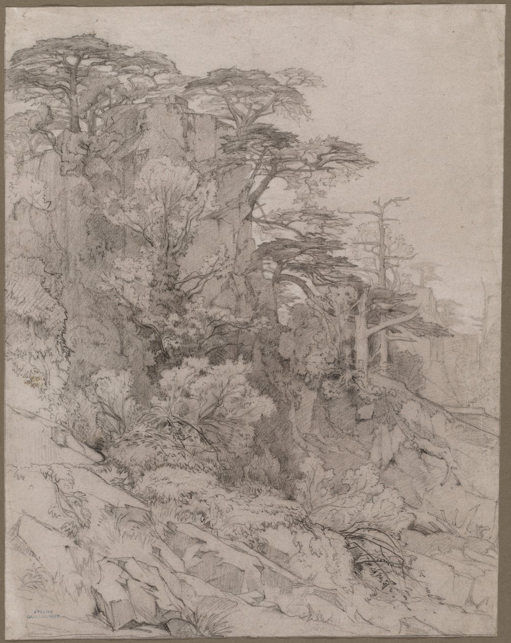 Træer i en klippeskråning af Gustave Achille Guillaumet